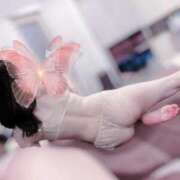 ヒメ日記 2025/11/28 15:02 投稿 すず ジャパンクラブ富士