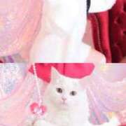 ヒメ日記 2026/02/10 12:02 投稿 すず ジャパンクラブ富士