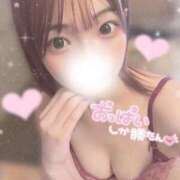 ヒメ日記 2026/02/13 10:31 投稿 りあ フェアリー【都城店】