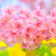 ヒメ日記 2026/03/31 10:41 投稿 みさき 素人妻御奉仕倶楽部Hip's取手店