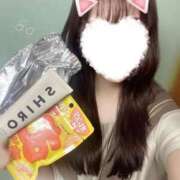 ヒメ日記 2025/12/04 19:45 投稿 ちえり ビデオDEはんど 名古屋校