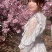 ヒメ日記 2025/03/26 11:20 投稿 とあ ごほうびSPA池袋店