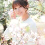 ヒメ日記 2025/04/04 16:20 投稿 とあ ごほうびSPA池袋店