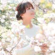 ヒメ日記 2025/04/11 14:30 投稿 とあ ごほうびSPA池袋店