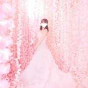 ヒメ日記 2025/04/12 11:30 投稿 とあ ごほうびSPA池袋店