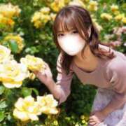 ヒメ日記 2025/06/25 22:01 投稿 とあ ごほうびSPA池袋店