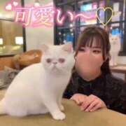 ヒメ日記 2025/12/14 17:27 投稿 とあ ごほうびSPA池袋店