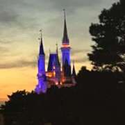 ヒメ日記 2024/12/19 18:17 投稿 前田　優 東京ローズマリー