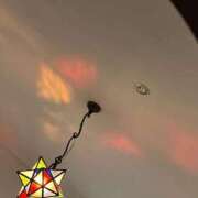 ヒメ日記 2024/12/30 10:17 投稿 前田　優 東京ローズマリー