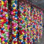 ヒメ日記 2024/12/30 18:37 投稿 前田　優 東京ローズマリー