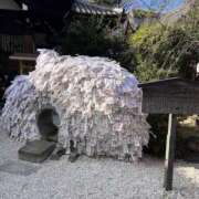 ヒメ日記 2025/01/02 09:43 投稿 前田　優 東京ローズマリー