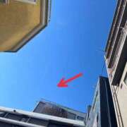 ヒメ日記 2025/01/02 16:27 投稿 前田　優 東京ローズマリー