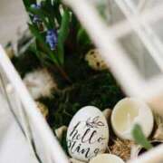 ヒメ日記 2025/04/09 14:37 投稿 前田　優 東京ローズマリー