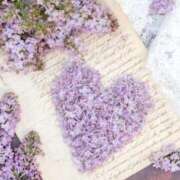 ヒメ日記 2025/04/10 15:57 投稿 前田　優 東京ローズマリー