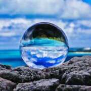 ヒメ日記 2025/04/13 09:47 投稿 前田　優 東京ローズマリー