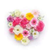 ヒメ日記 2025/04/16 16:57 投稿 前田　優 東京ローズマリー