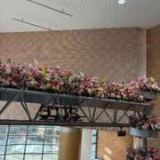 ヒメ日記 2025/05/09 15:27 投稿 前田　優 東京ローズマリー