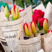 ヒメ日記 2025/05/12 16:47 投稿 前田　優 東京ローズマリー