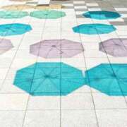 ヒメ日記 2025/06/11 16:47 投稿 前田　優 東京ローズマリー