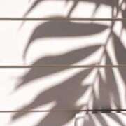 ヒメ日記 2025/06/26 13:57 投稿 前田　優 東京ローズマリー