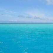 ヒメ日記 2025/07/10 17:01 投稿 前田　優 東京ローズマリー