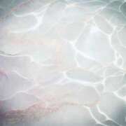 ヒメ日記 2025/07/24 13:07 投稿 前田　優 東京ローズマリー