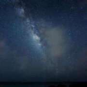 ヒメ日記 2025/08/31 16:57 投稿 前田　優 東京ローズマリー