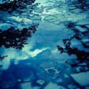 ヒメ日記 2025/09/18 21:17 投稿 前田　優 東京ローズマリー