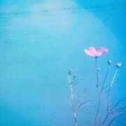 ヒメ日記 2025/09/23 11:27 投稿 前田　優 東京ローズマリー