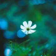 ヒメ日記 2025/09/29 17:47 投稿 前田　優 東京ローズマリー