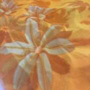 ヒメ日記 2025/10/08 16:07 投稿 前田　優 東京ローズマリー