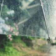 ヒメ日記 2025/10/22 16:37 投稿 前田　優 東京ローズマリー