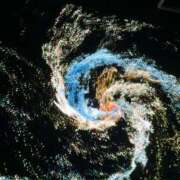 ヒメ日記 2025/11/21 12:07 投稿 前田　優 東京ローズマリー