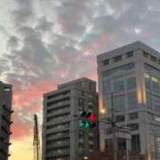 ヒメ日記 2025/11/27 15:37 投稿 前田　優 東京ローズマリー