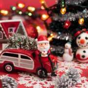 ヒメ日記 2025/12/06 14:57 投稿 前田　優 東京ローズマリー