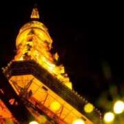 ヒメ日記 2025/12/23 15:37 投稿 前田　優 東京ローズマリー