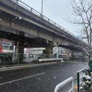 前田　優 雪やこんこん。 東京ローズマリー