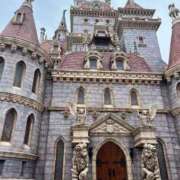 ヒメ日記 2024/12/22 17:49 投稿 前田 ローズマリー大塚