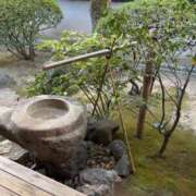 ヒメ日記 2025/01/09 16:29 投稿 前田 ローズマリー大塚