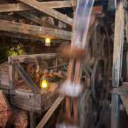 ヒメ日記 2025/01/24 15:49 投稿 前田 ローズマリー大塚