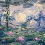 ヒメ日記 2025/01/25 17:09 投稿 前田 ローズマリー大塚