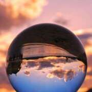 ヒメ日記 2025/05/26 16:54 投稿 前田 ローズマリー大塚