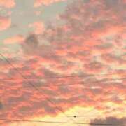 ヒメ日記 2025/06/06 19:34 投稿 前田 ローズマリー大塚