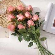 ヒメ日記 2025/06/07 10:54 投稿 前田 ローズマリー大塚