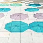 ヒメ日記 2025/06/11 16:54 投稿 前田 ローズマリー大塚