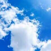 ヒメ日記 2025/06/16 15:54 投稿 前田 ローズマリー大塚