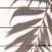 ヒメ日記 2025/06/26 14:05 投稿 前田 ローズマリー大塚