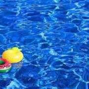 ヒメ日記 2025/06/28 16:14 投稿 前田 ローズマリー大塚