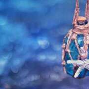 ヒメ日記 2025/07/09 12:34 投稿 前田 ローズマリー大塚