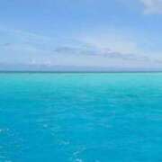 ヒメ日記 2025/07/10 17:05 投稿 前田 ローズマリー大塚